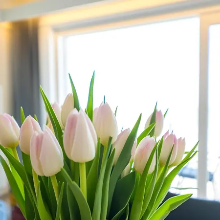 Emperador - 0401 Daire *