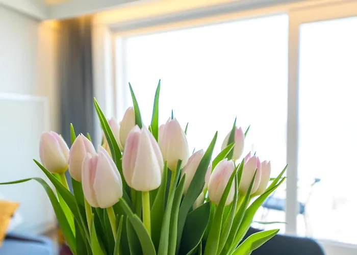 Emperador - 0401 Daire *